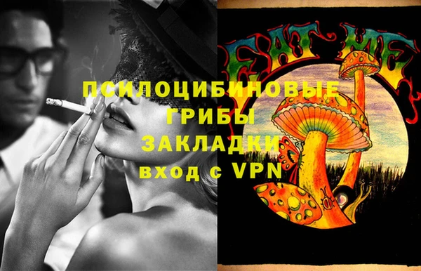 таблы Белокуриха