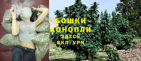 ПСИЛОЦИБИНОВЫЕ ГРИБЫ Беломорск