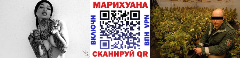 Конопля планчик Шали